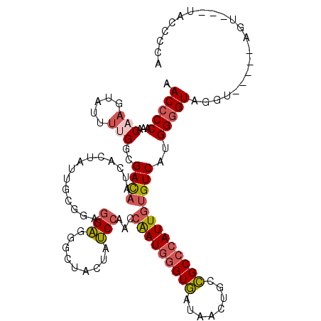 secondary structure