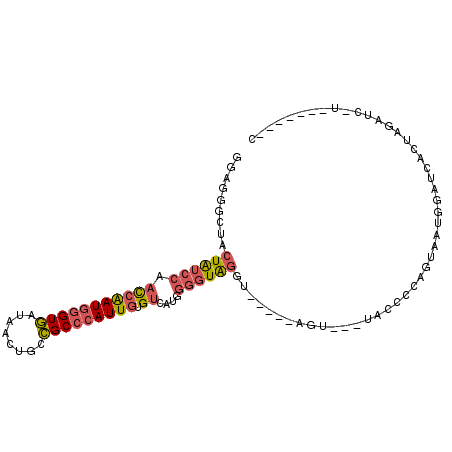 secondary structure