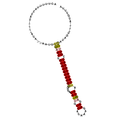 secondary structure