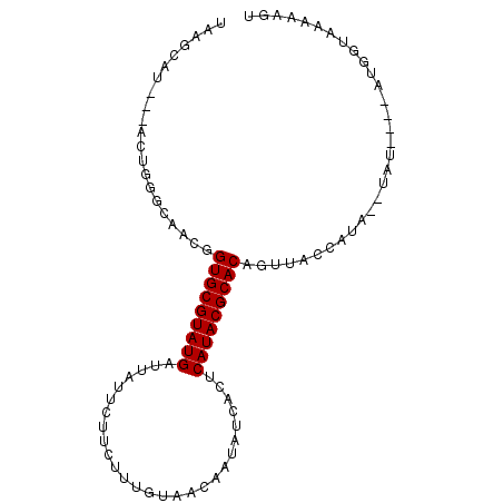 secondary structure