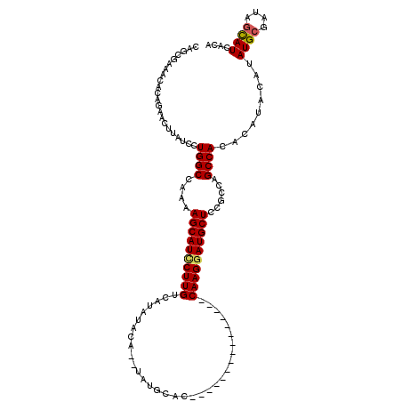 secondary structure