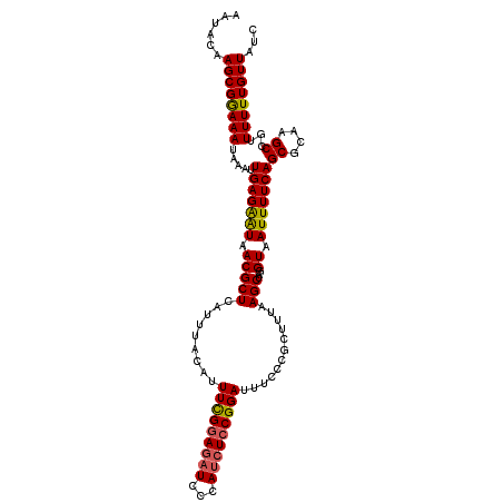 secondary structure