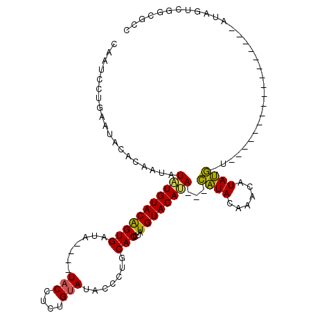 secondary structure