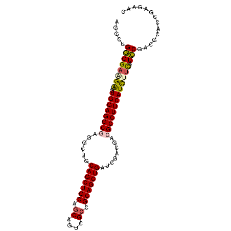 secondary structure