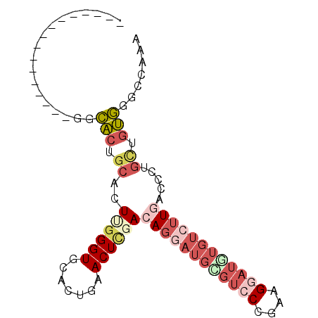 secondary structure