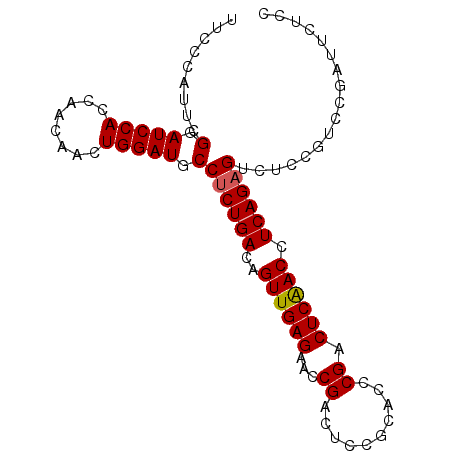 secondary structure
