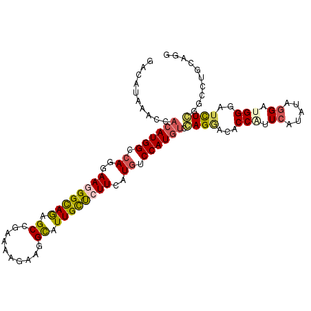 secondary structure