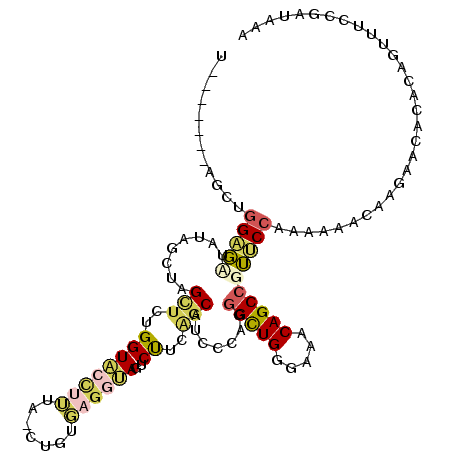 secondary structure