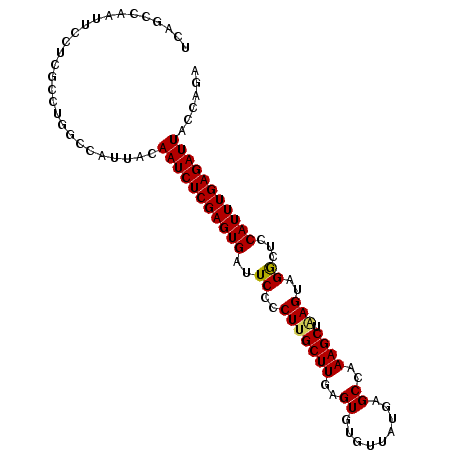 secondary structure