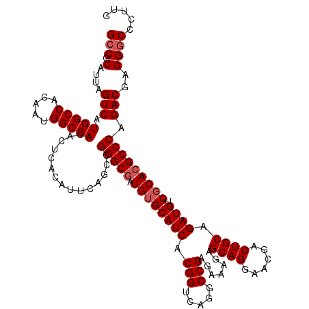 secondary structure
