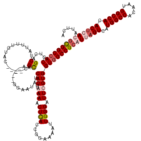 secondary structure