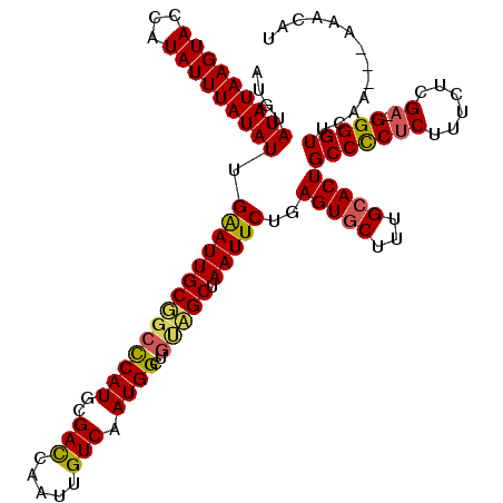 secondary structure