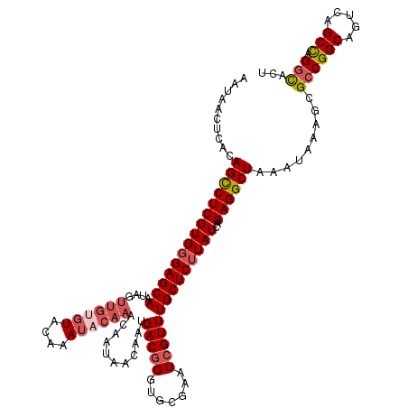 secondary structure