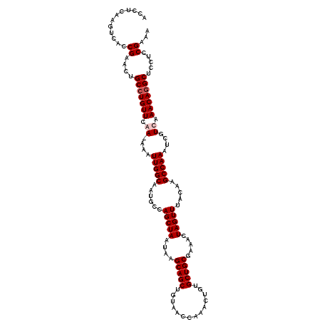secondary structure