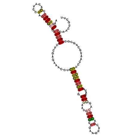 secondary structure