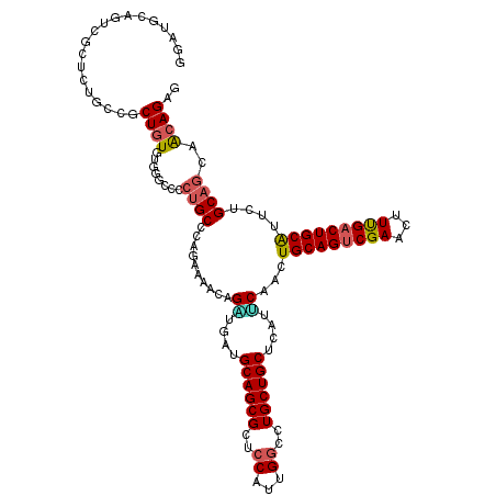 secondary structure