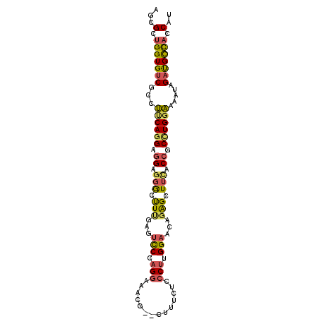 secondary structure