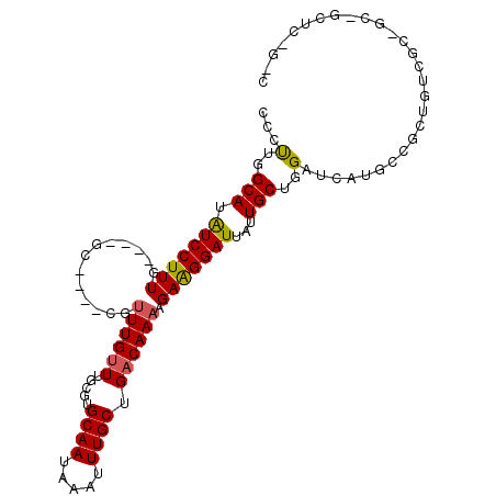 secondary structure