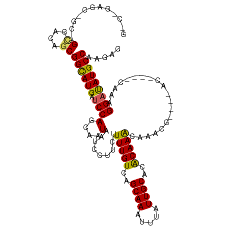 secondary structure