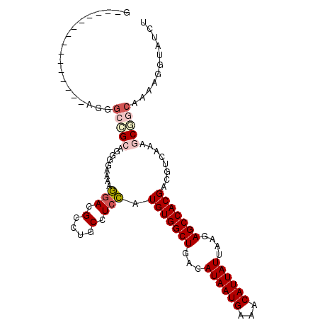 secondary structure