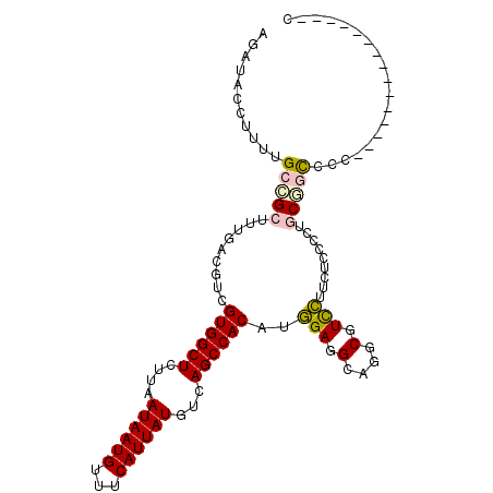 secondary structure