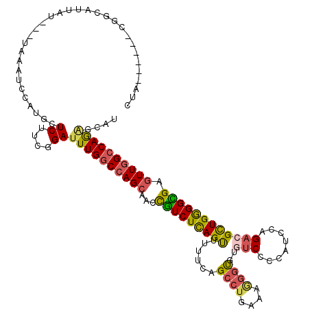 secondary structure