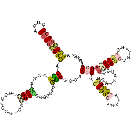 secondary structure