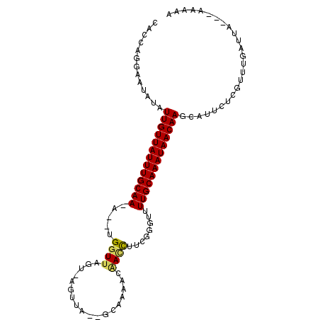 secondary structure