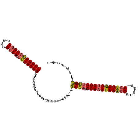 secondary structure