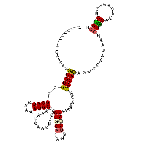 secondary structure