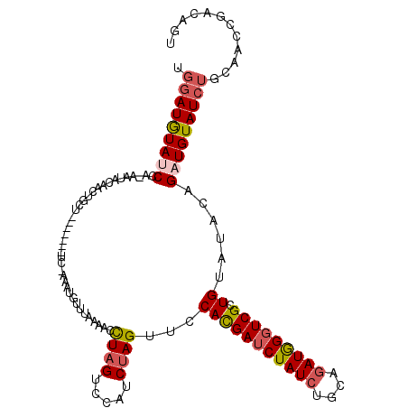 secondary structure