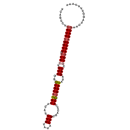 secondary structure