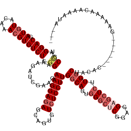 secondary structure