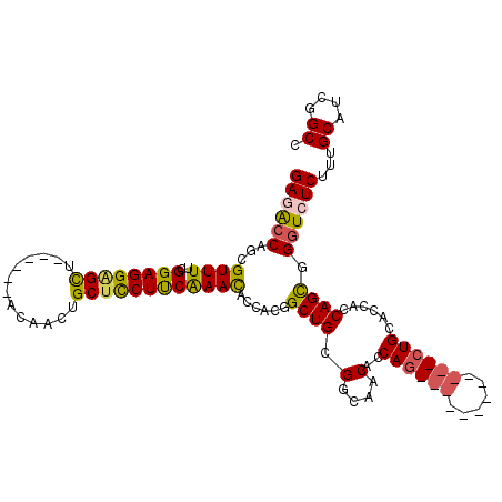 secondary structure