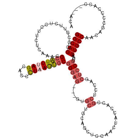 secondary structure