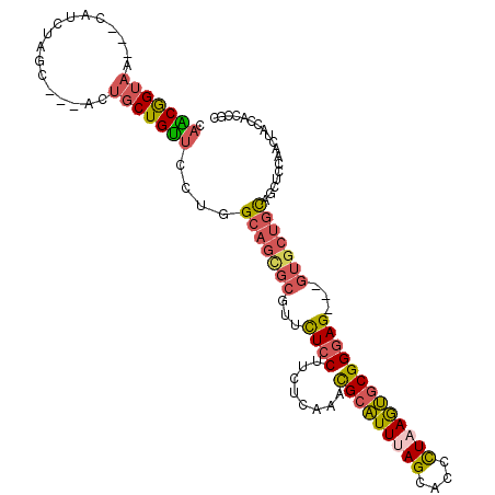 secondary structure