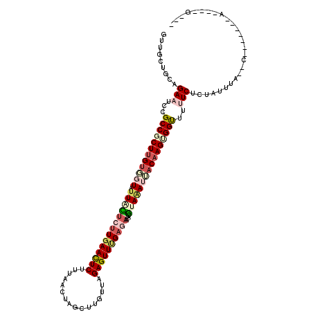 secondary structure