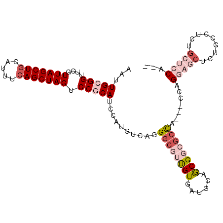 secondary structure