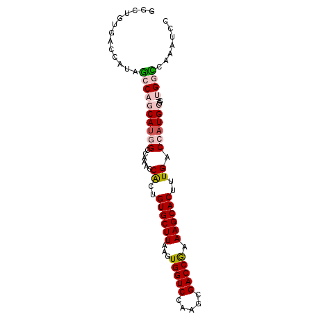 secondary structure