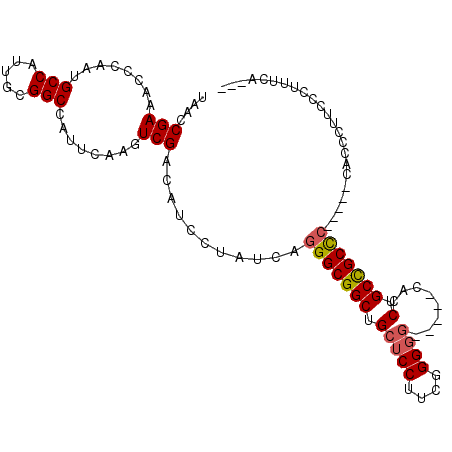secondary structure