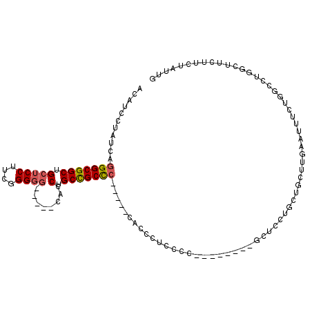 secondary structure