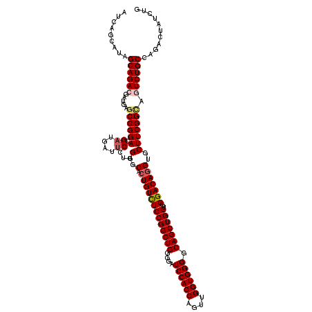 secondary structure