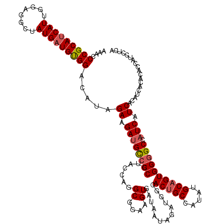 secondary structure