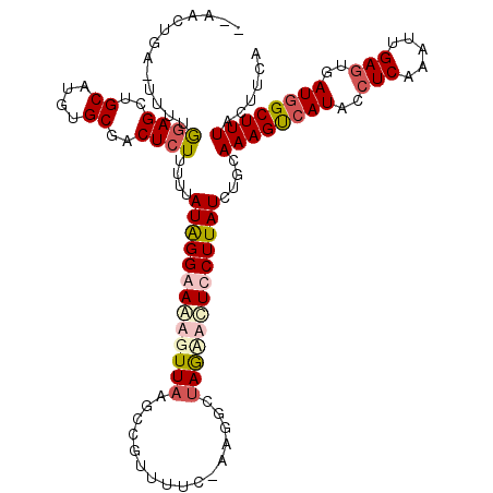 secondary structure
