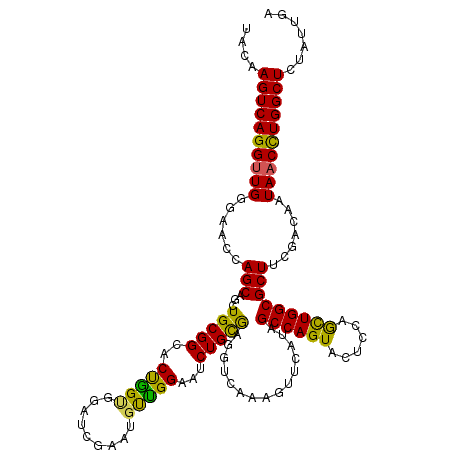 secondary structure