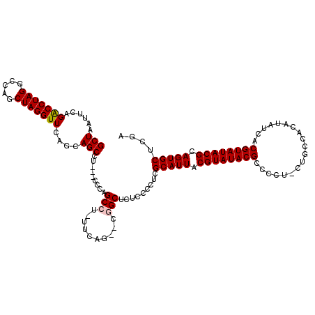 secondary structure