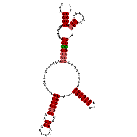 secondary structure