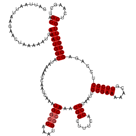 secondary structure