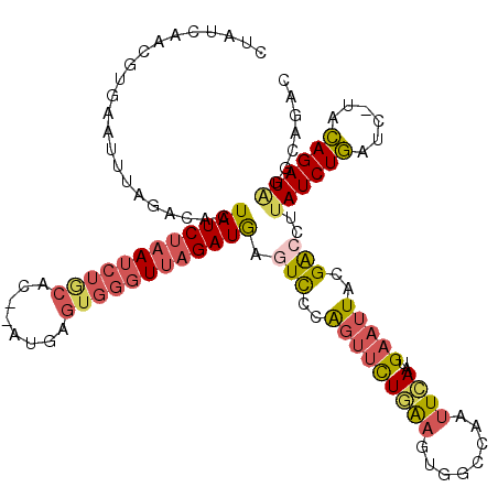 secondary structure
