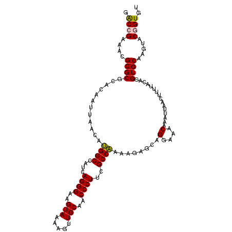 secondary structure